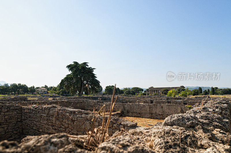 罗马神庙- Paestum